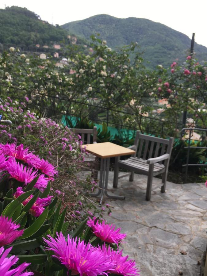 B&B Villa Orchidea Camogli Εξωτερικό φωτογραφία